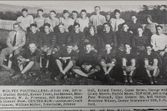 1931-wolves